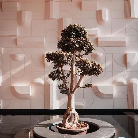 Royal G Deluxe Škalngur