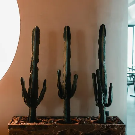 Royal G Deluxe Hotel 5*