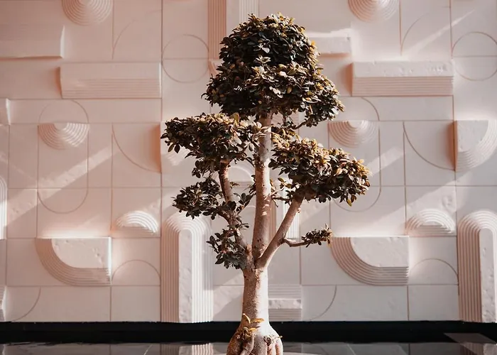 Royal G Deluxe Škalngur